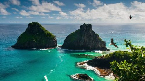 Fernando de Noronha8